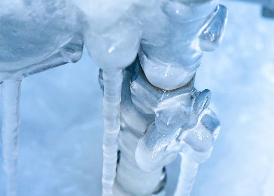 Close-up of tree branches covered in ice with icicles hanging down in a cold winter