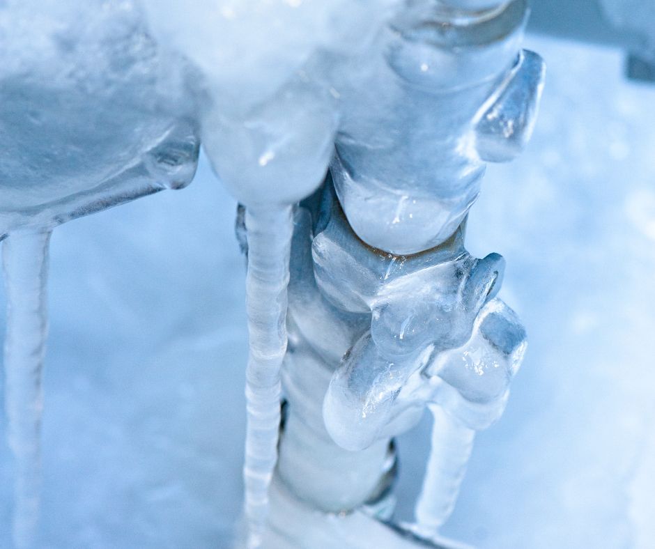 Close-up of tree branches covered in ice with icicles hanging down in a cold winter